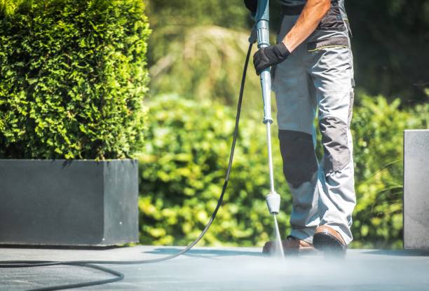 Best Paint Preparation  in Inesville, GA