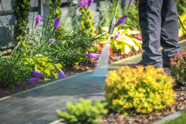 Best Dumpster Area Cleaning  in Inesville, GA