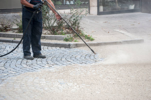 Best House Exterior Washing  in Inesville, GA