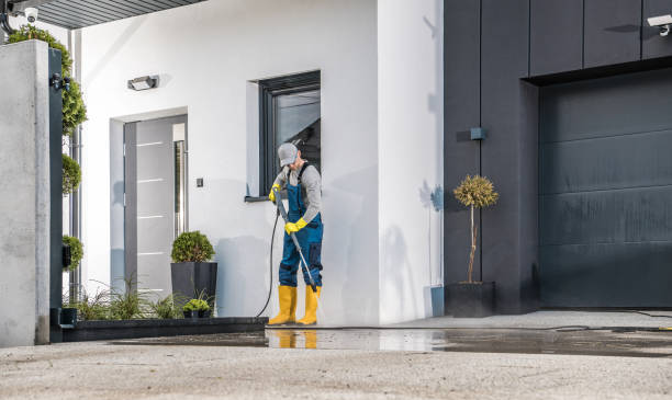 Best Driveway Pressure Washing  in Inesville, GA